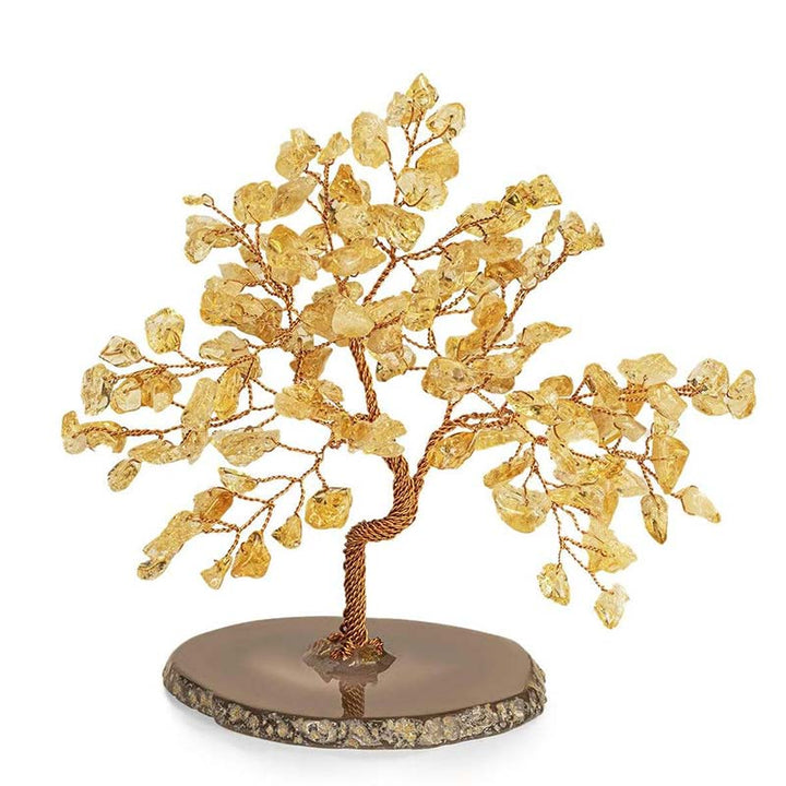 Arbre Feng Shui Citrine Évocateur de Bonheur Olivenorma
