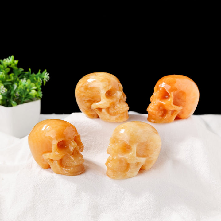 Décoration en pierre précieuse de tête de mort en aventurine jaune Olivenorma de 3 pouces