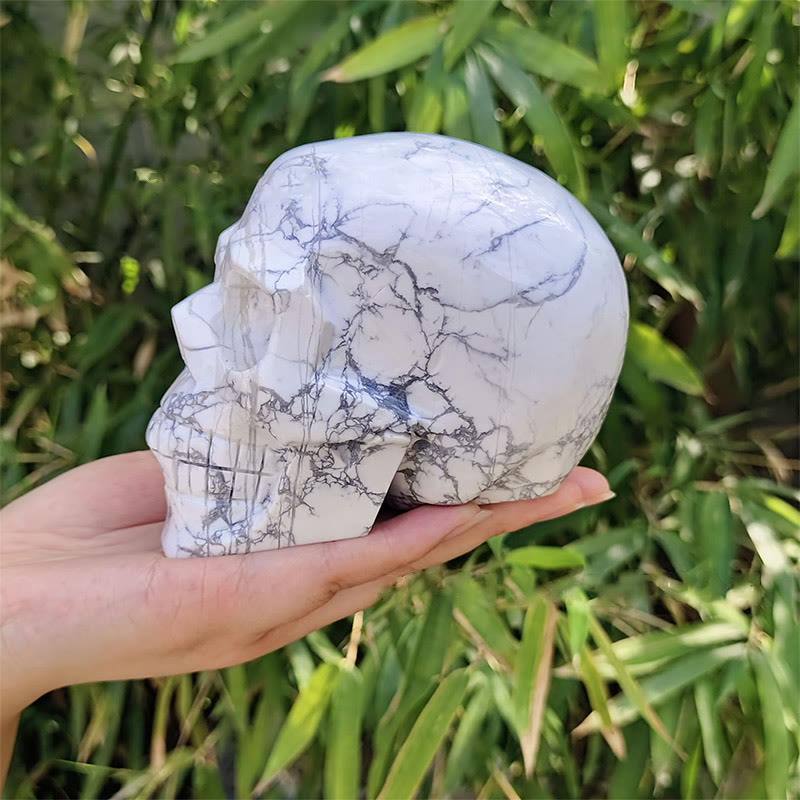 Crâne en cristal de décoration en pierre précieuse turquoise blanche naturelle Olivenorma 10 cm