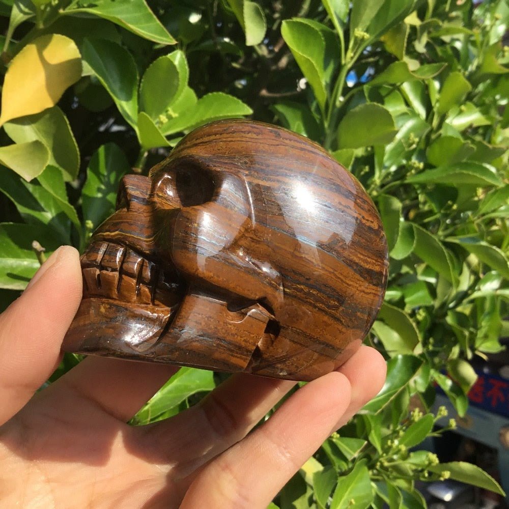 Décoration de crâne en cristal de pierre d'oeil de tigre Olivenorma