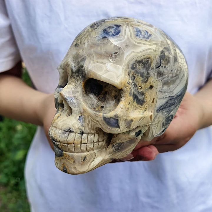 Crâne en cristal de décoration en pierre précieuse d'agate folle naturelle Olivenorma de 10 cm