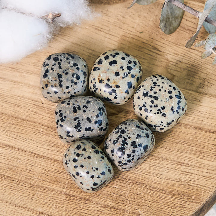 Pierre de guérison roulée en jaspe dalmatien naturel Olivenorma