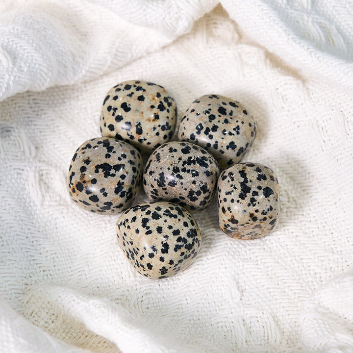 Pierre de guérison roulée en jaspe dalmatien naturel Olivenorma