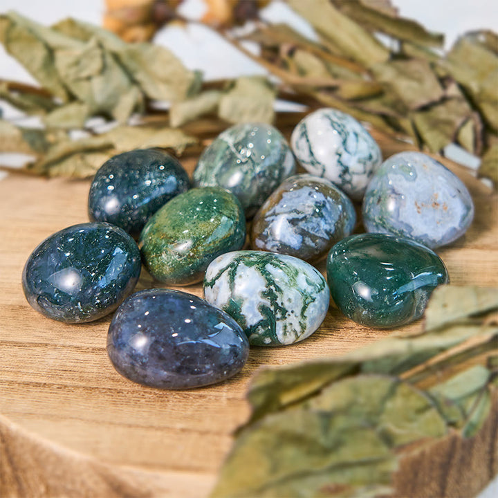 Pierre roulée de guérison en agate mousse naturelle véritable Olivenorma