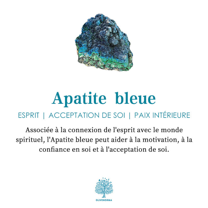 Bracelet en perles de grès bleu et onyx noir avec signe du zodiaque Olivenorma