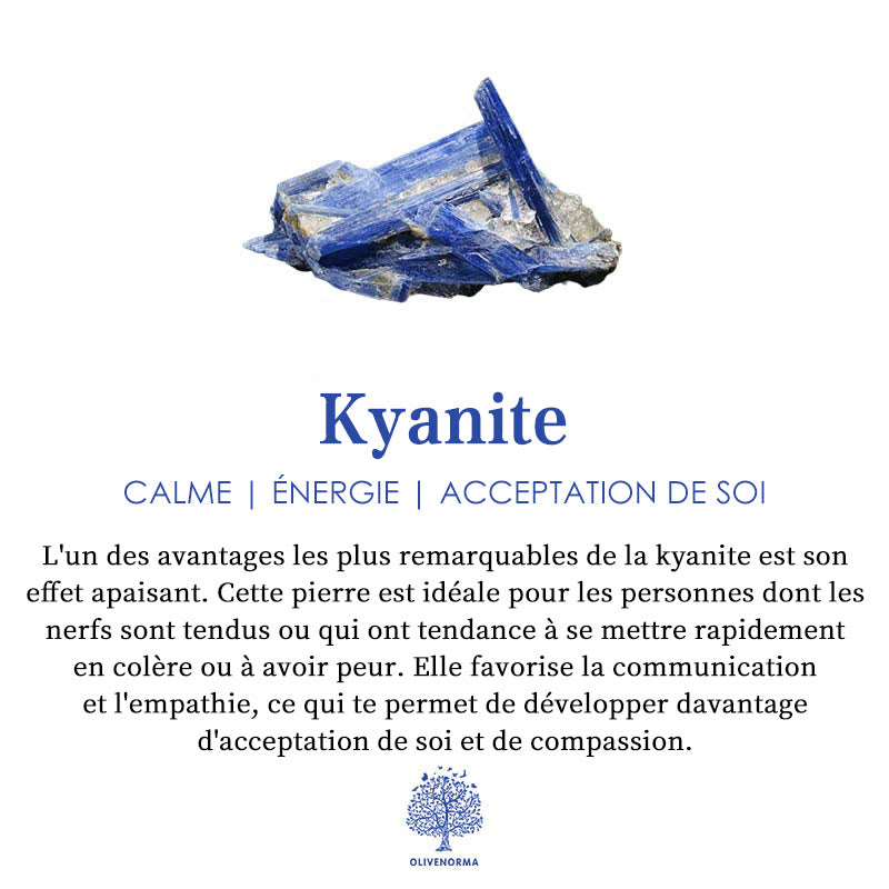 Bracelet en perles de cyanite naturelle Olivenorma 8/9 mm