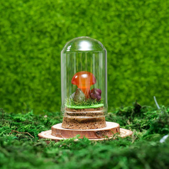 Couvercle en verre Olivenorma Décoration champignon en cristal naturel