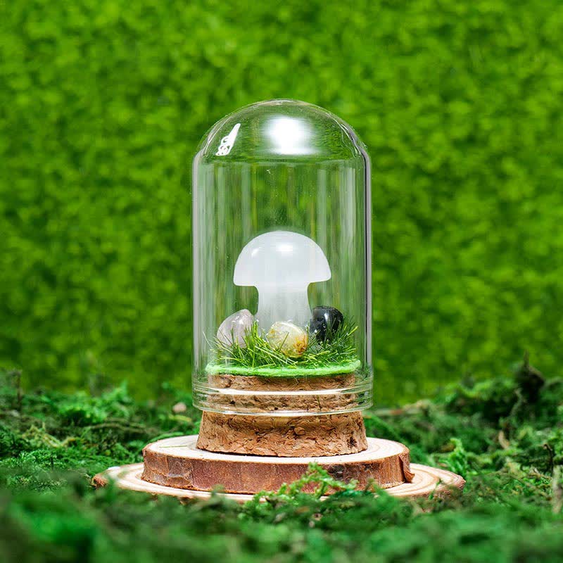 Couvercle en verre Olivenorma Décoration champignon en cristal naturel