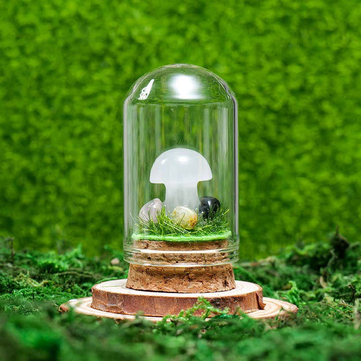 Couvercle en verre Olivenorma Décoration champignon en cristal naturel