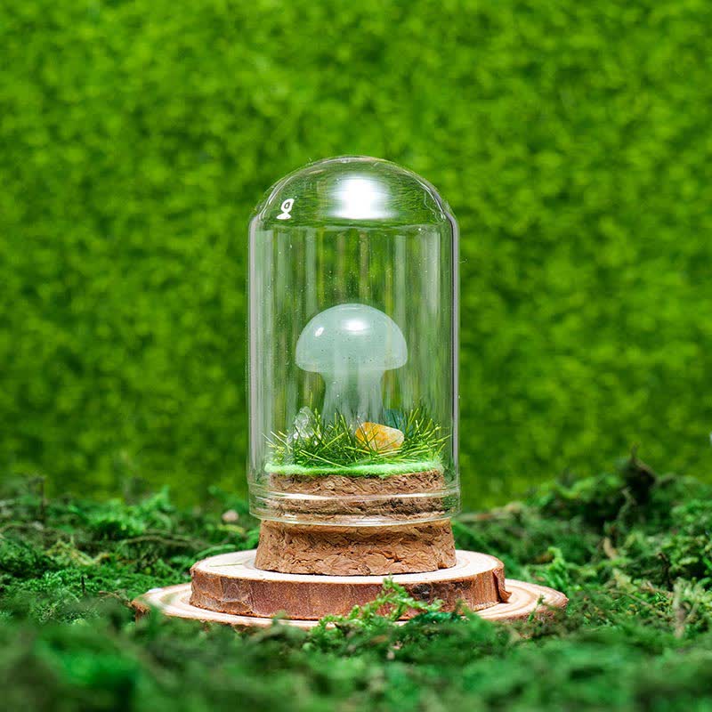 Couvercle en verre Olivenorma Décoration champignon en cristal naturel