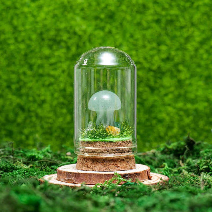 Couvercle en verre Olivenorma Décoration champignon en cristal naturel