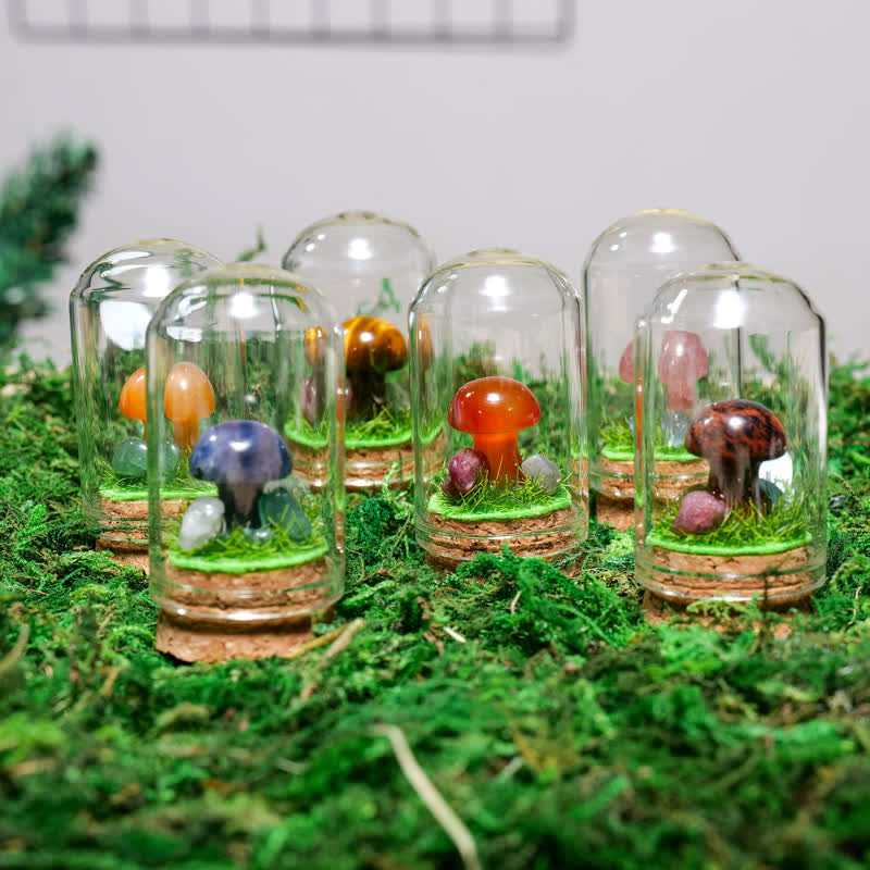 Couvercle en verre Olivenorma Décoration champignon en cristal naturel