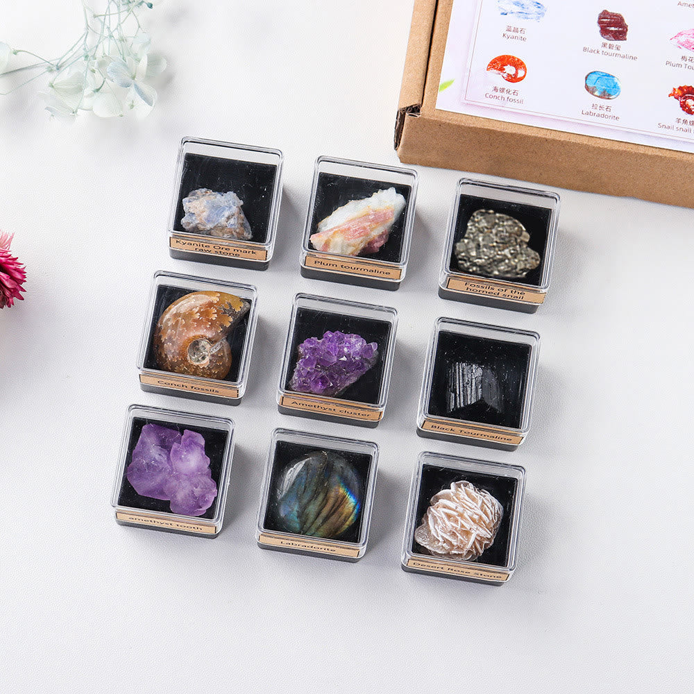Coffret cadeau de 9 pièces en cristal naturel Olivenorma