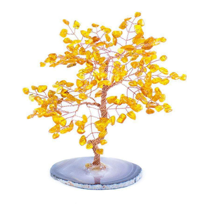 Arbre Feng Shui d'ambre de protection Olivenorma