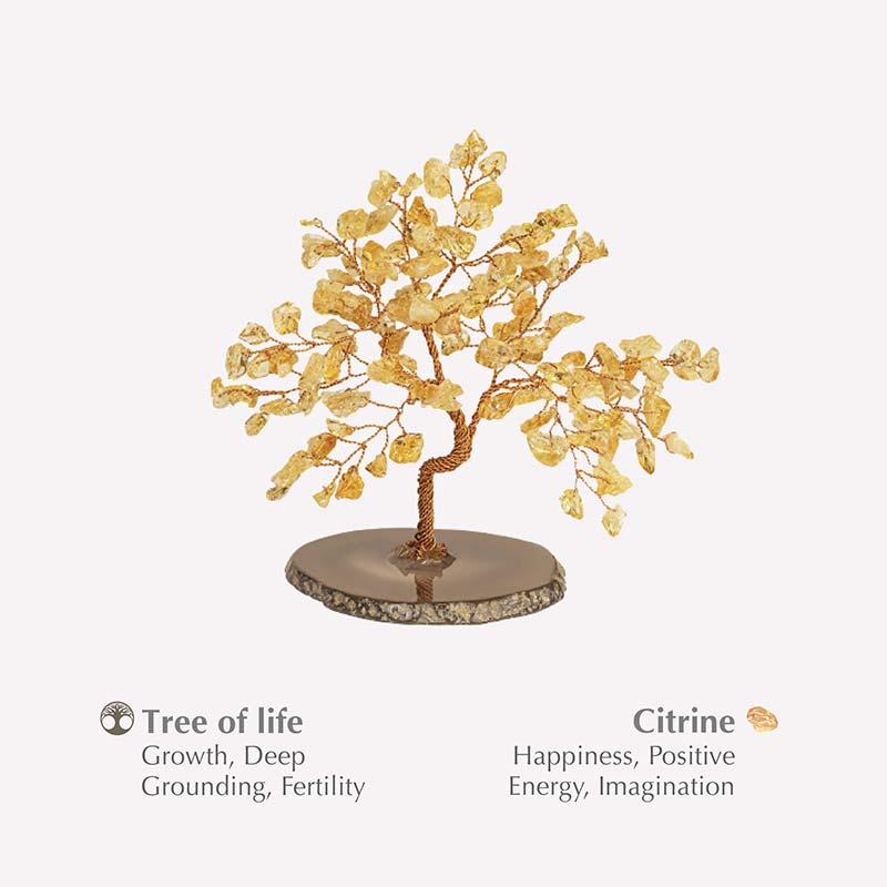 Arbre Feng Shui Citrine Évocateur de Bonheur Olivenorma