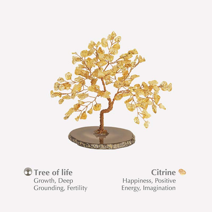Arbre Feng Shui Citrine Évocateur de Bonheur Olivenorma