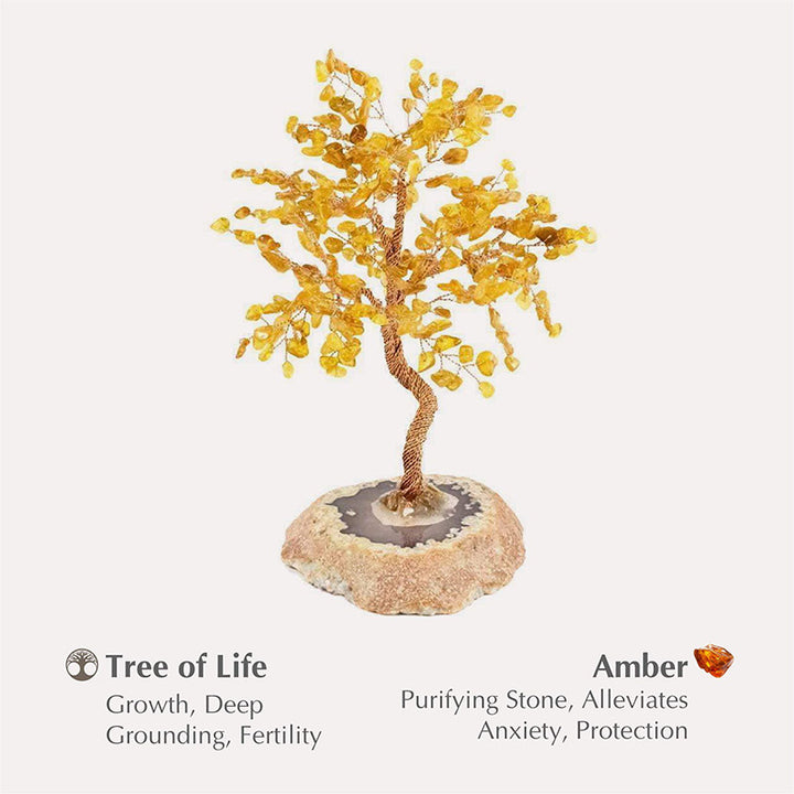Arbre Feng Shui d'ambre de protection Olivenorma