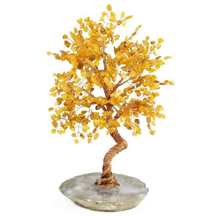 Arbre Feng Shui d'ambre de protection Olivenorma