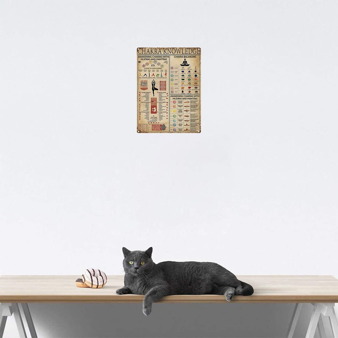Olivenorma Chakra Connaissance Yogaer Accueil Poster