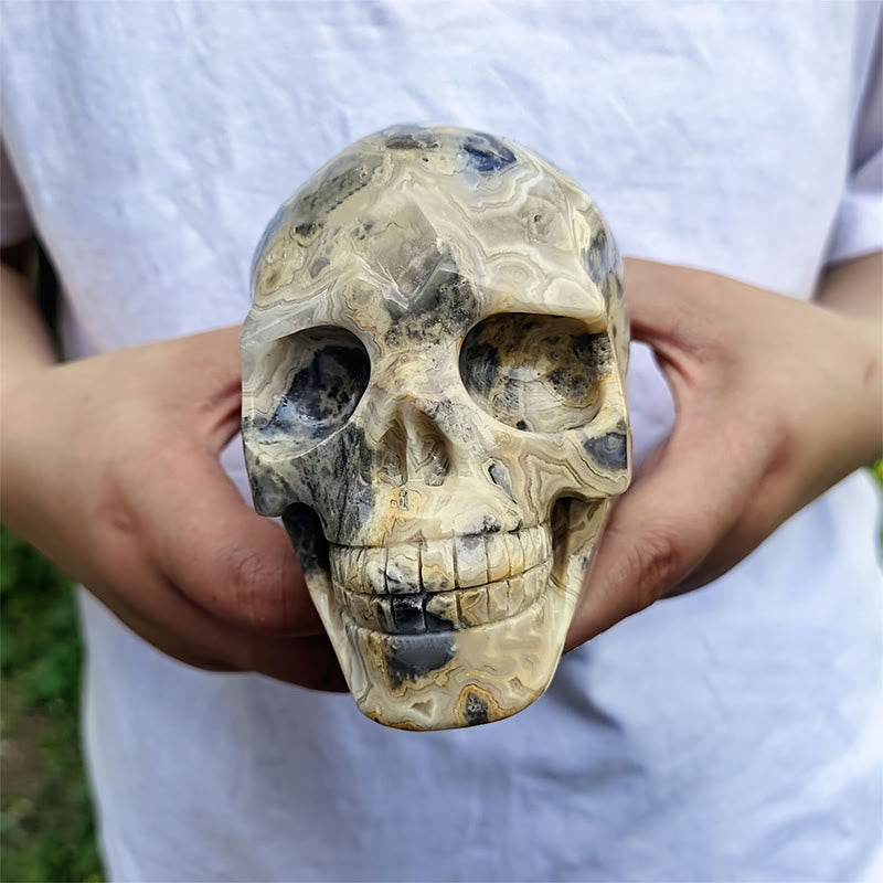 Crâne en cristal de décoration en pierre précieuse d'agate folle naturelle Olivenorma de 10 cm