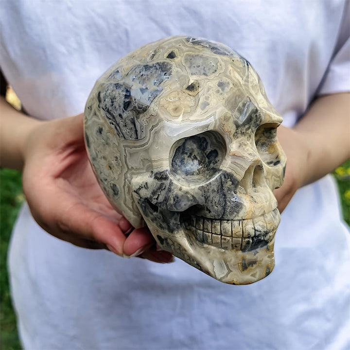 Crâne en cristal de décoration en pierre précieuse d'agate folle naturelle Olivenorma de 10 cm