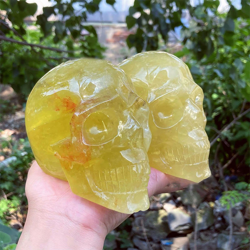 Crâne en cristal de décoration en pierre précieuse naturelle de citrine Olivenorma de 10 cm