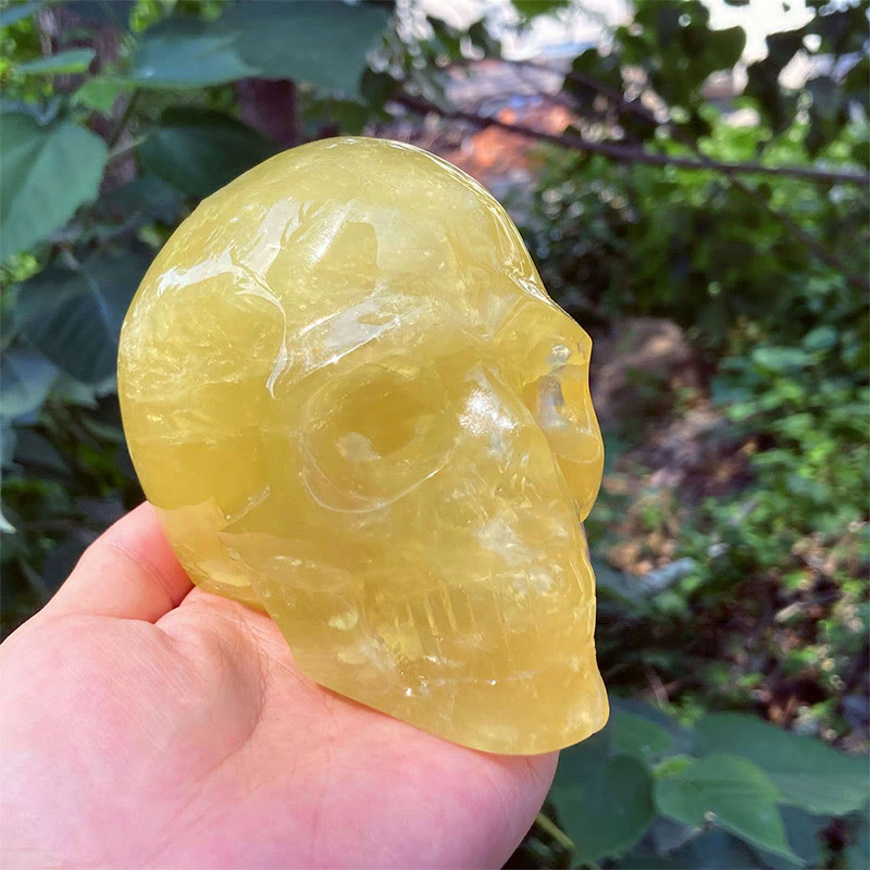 Crâne en cristal de décoration en pierre précieuse naturelle de citrine Olivenorma de 10 cm