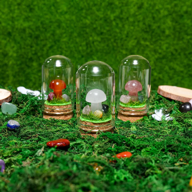 Couvercle en verre Olivenorma Décoration champignon en cristal naturel