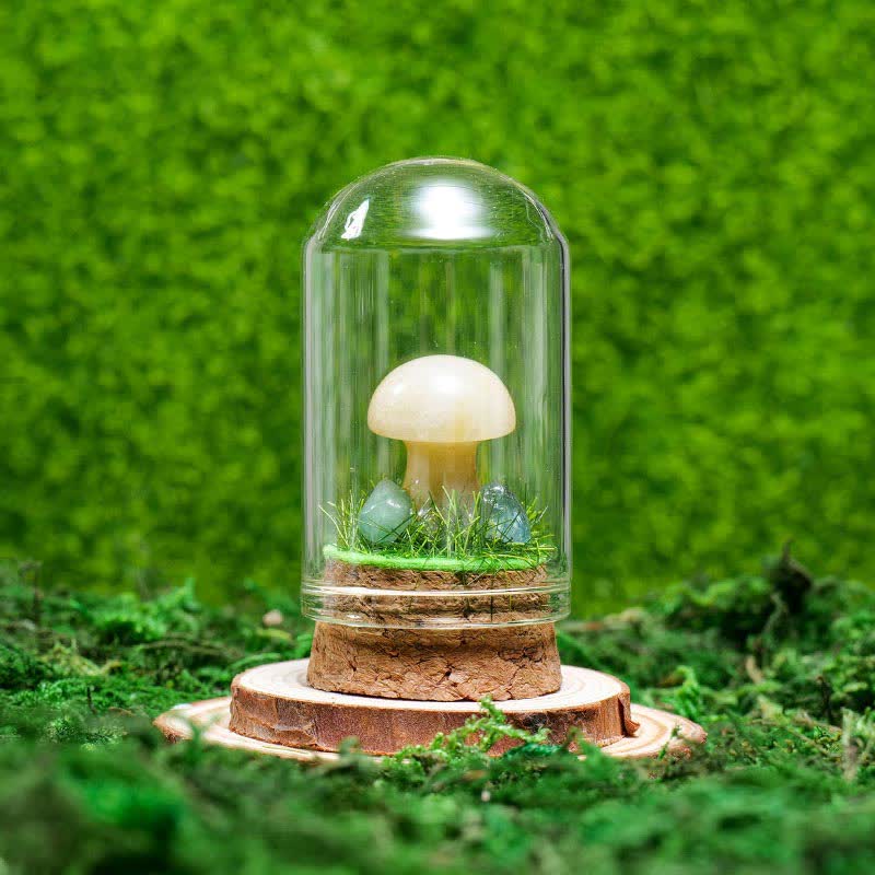 Couvercle en verre Olivenorma Décoration champignon en cristal naturel