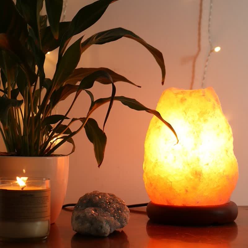 Lampe à incandescence sculptée naturellement en sel rose de l'Himalaya Olivenorma