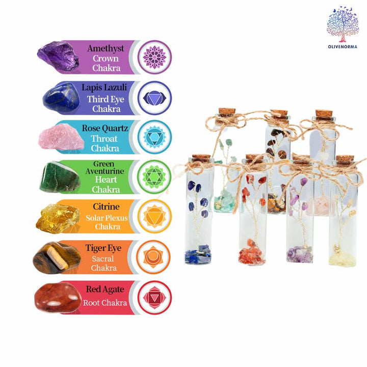 Décoration de bouteille en verre en pierre concassée en cristal de chakra Olivenorma