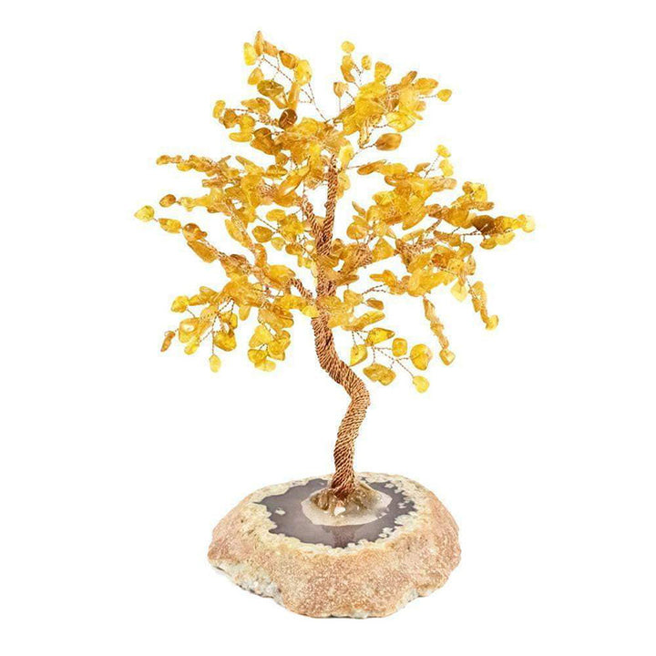 Arbre Feng Shui d'ambre de protection Olivenorma