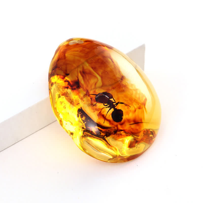 Pendentif spécimen d'insecte en forme de goutte d'eau en ambre Olivenorma