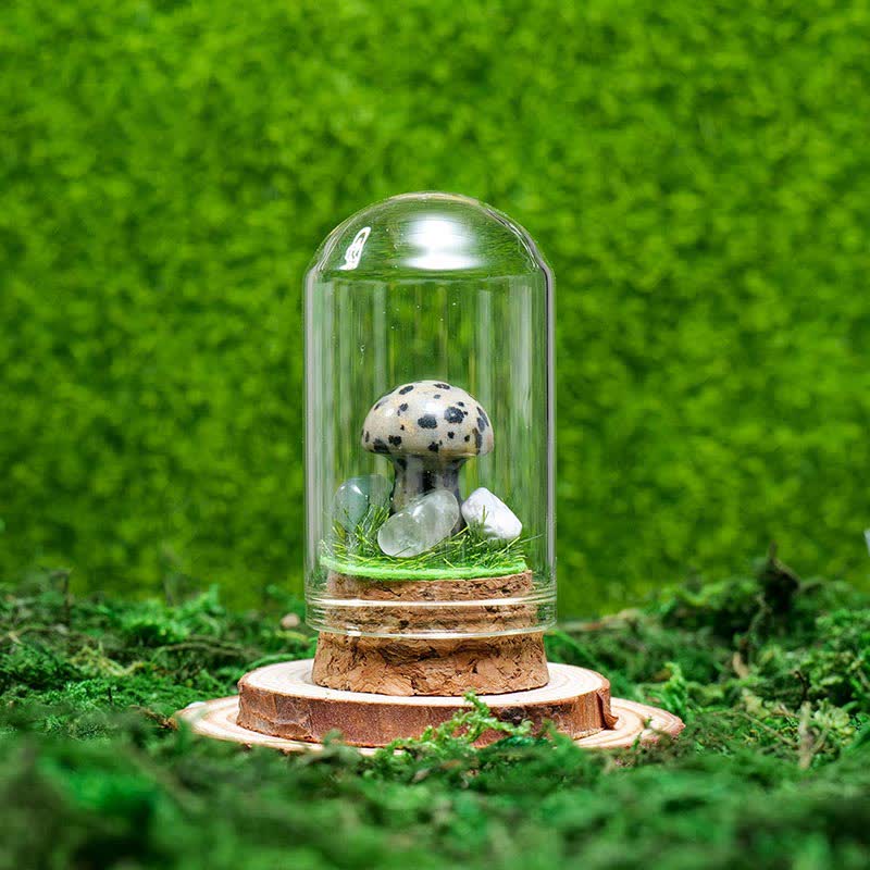 Couvercle en verre Olivenorma Décoration champignon en cristal naturel