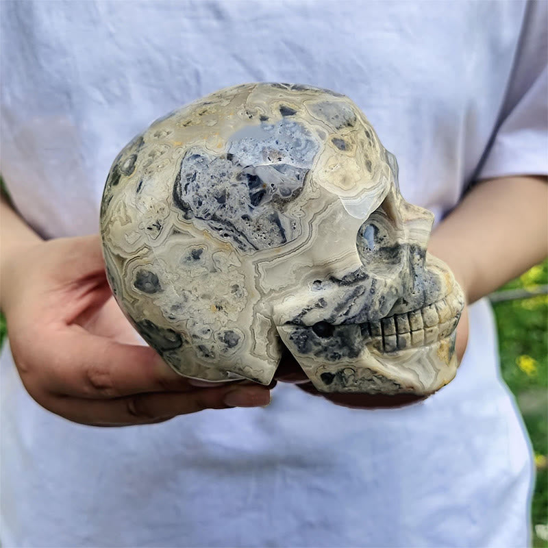 Crâne en cristal de décoration en pierre précieuse d'agate folle naturelle Olivenorma de 10 cm