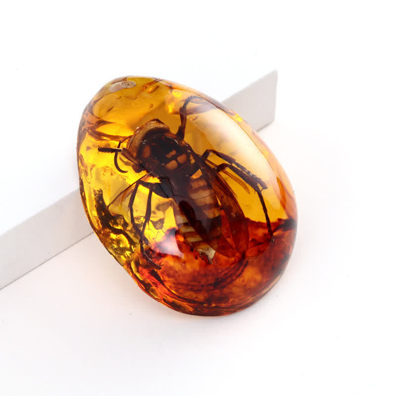 Pendentif spécimen d'insecte en forme de goutte d'eau en ambre Olivenorma 