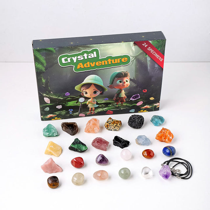Olivenorma 24 pierres précieuses naturelles en cristal brut pour enfants Décoration scientifique 