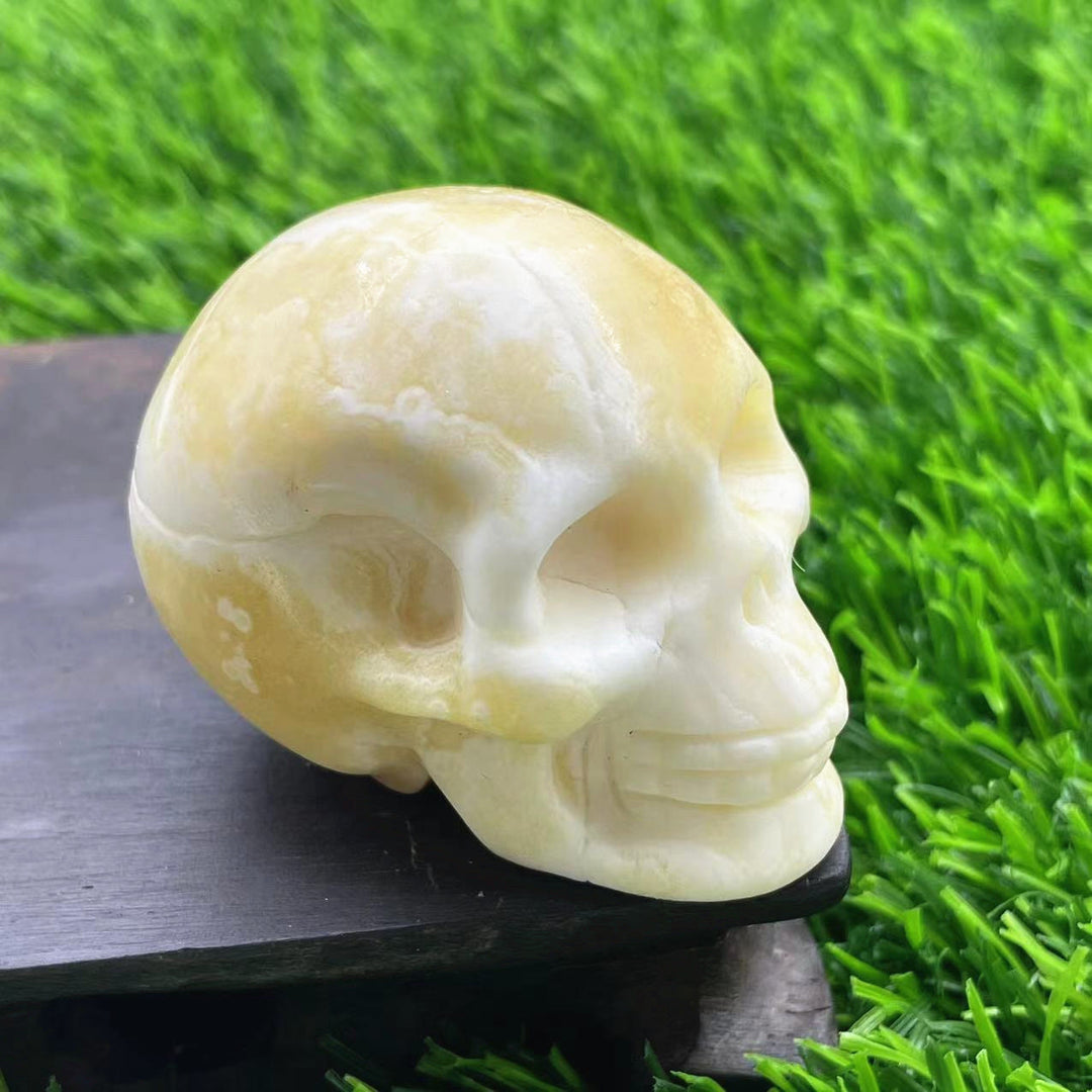 Décoration en pierre précieuse de crâne en cristal naturel sculpté Olivenorma de 5 cm 