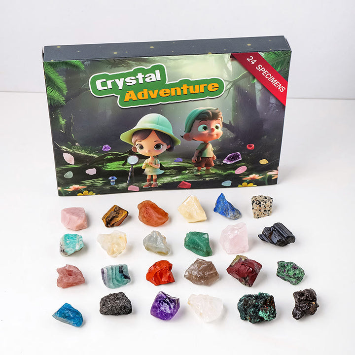 Olivenorma 24 pierres précieuses naturelles en cristal brut pour enfants Décoration scientifique 