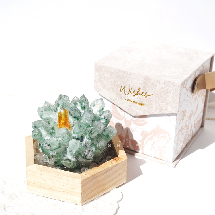 Décoration en grappe de cristal à base de bois massif de quartz fantôme vert Olivenorma
