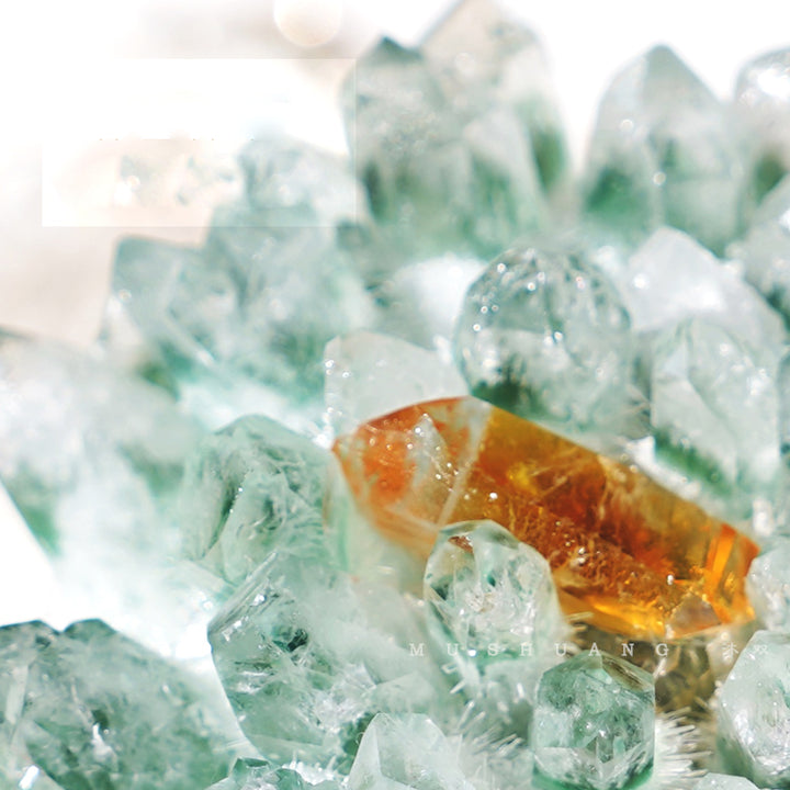 Décoration en grappe de cristal à base de bois massif de quartz fantôme vert Olivenorma