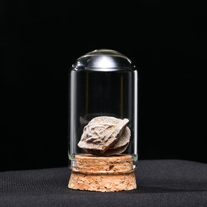 Ornements de spécimens de minerai de cristal naturel Olivenorma Décoration