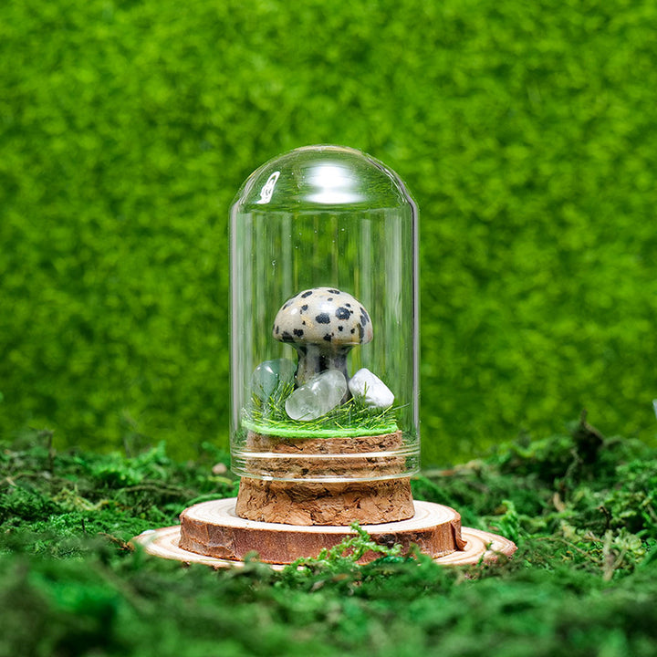 Ornements de spécimens de minerai de cristal naturel Olivenorma Décoration
