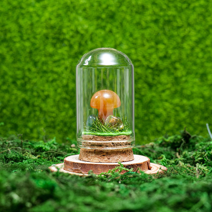 Ornements de spécimens de minerai de cristal naturel Olivenorma Décoration