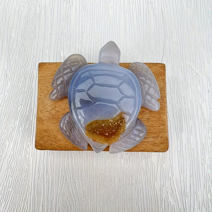 Décoration en pierre précieuse en forme de tortue en agate géode naturelle Olivenorma