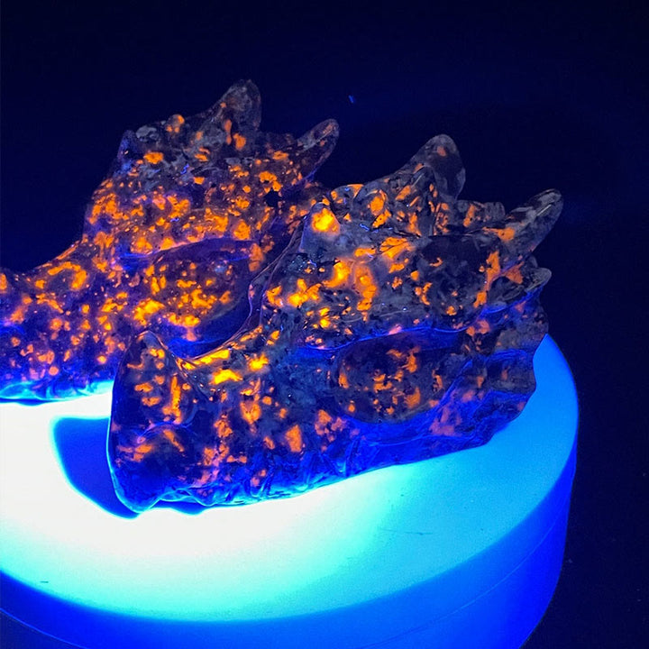 Décoration en pierre précieuse de tête de dragon polie en Yooperlite naturelle Olivenorma