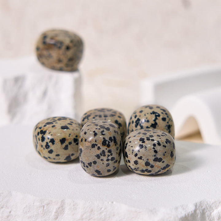 Pierre de guérison roulée en jaspe dalmatien naturel Olivenorma