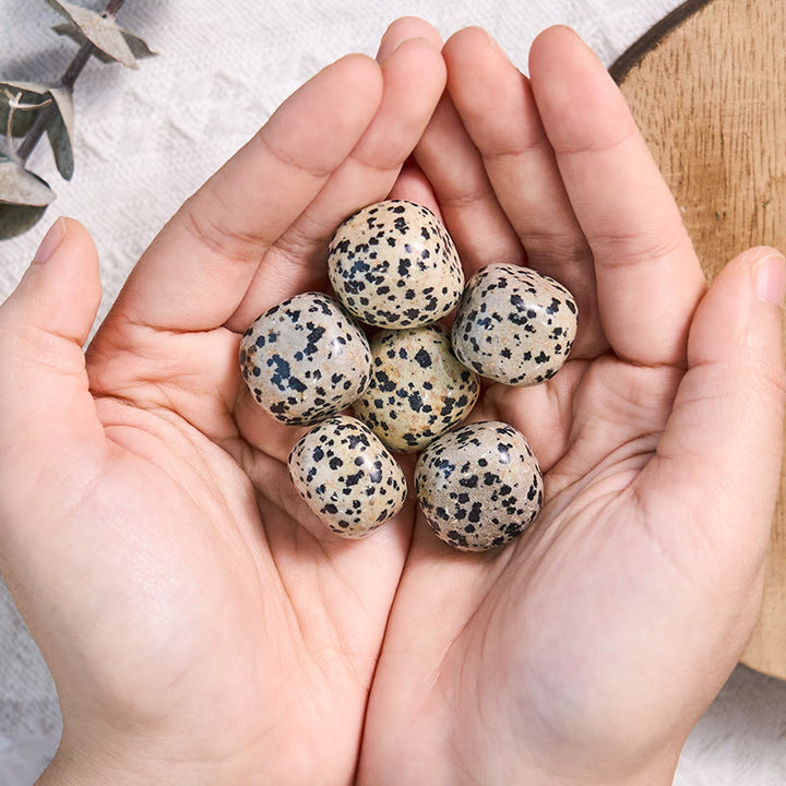 Pierre de guérison roulée en jaspe dalmatien naturel Olivenorma