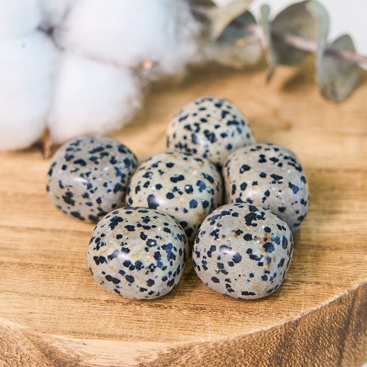 Pierre de guérison roulée en jaspe dalmatien naturel Olivenorma