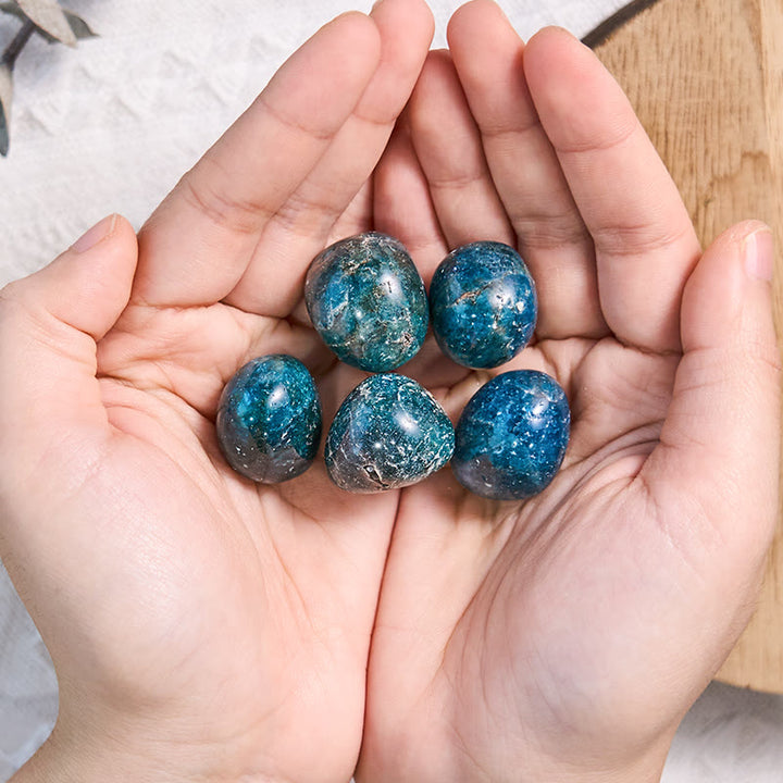 Pierre roulée de guérison en apatite bleue naturelle polie Olivenorma